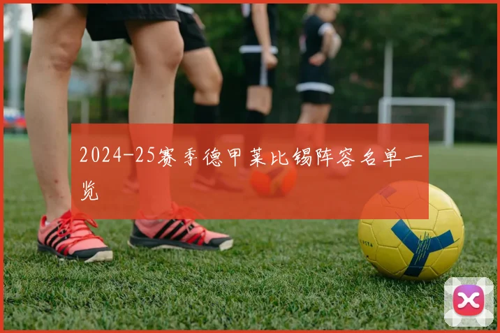 2024-25赛季德甲莱比锡阵容名单一览