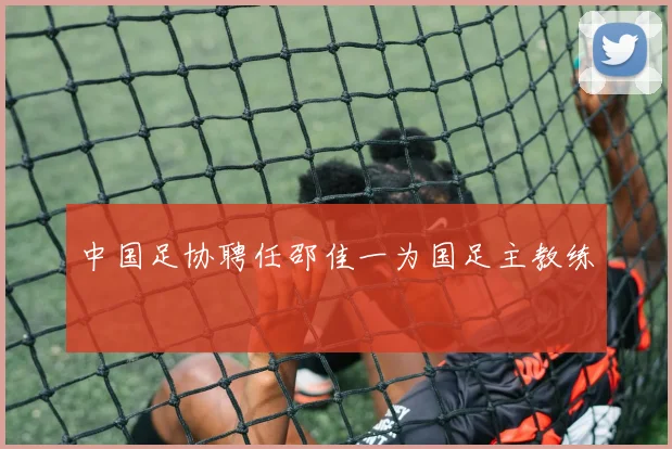 中国足协聘任邵佳一为国足主教练