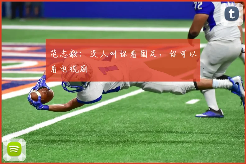 范志毅：没人叫你看国足，你可以看电视剧