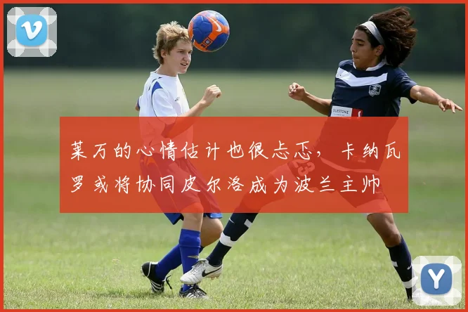 莱万的心情估计也很忐忑，卡纳瓦罗或将协同皮尔洛成为波兰主帅