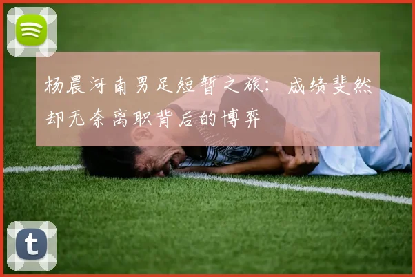 杨晨河南男足短暂之旅：成绩斐然却无奈离职背后的博弈